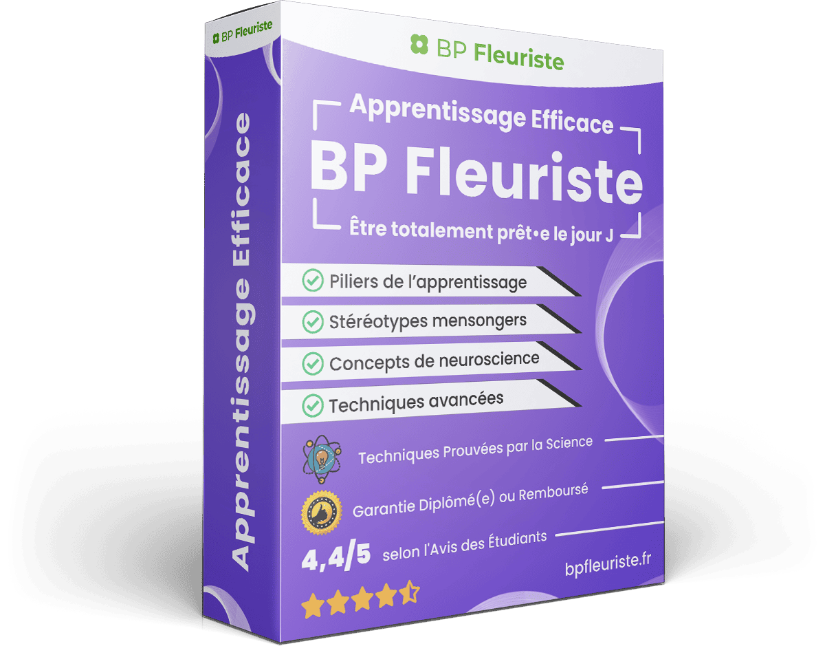 Image produit apprentissage-efficace